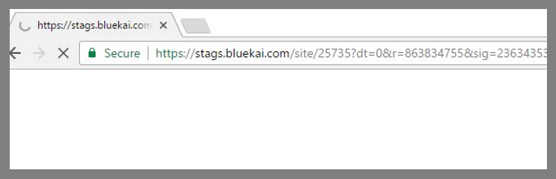 remove Stags.Bluekai.com (Mac)