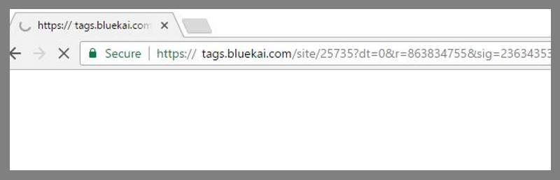 remove Tags.Bluekai.com