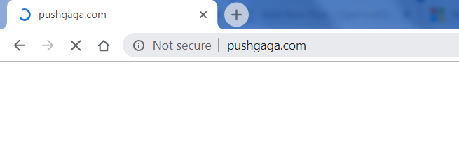 Pushgaga.com