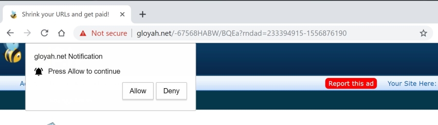 Delete https://Gloyah.net, p8.Gloyah.net, p7.Gloyah.net, w986.Gloyah.net, h64r.Gloyah.net, sphy.Gloyah.net, oz4x.Gloyah.net, n9m9.Gloyah.net virus notifications