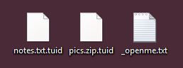 how to decrypt .tuid files